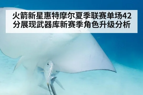 火箭新星惠特摩尔夏季联赛单场42分展现武器库新赛季角色升级分析